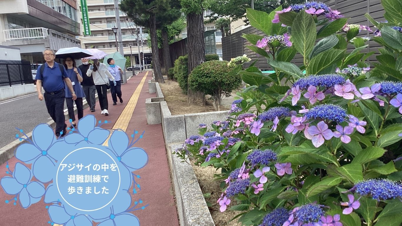 Pedestrians with umbrellas walking along a red sidewalk beside flowering purple hydrangeas in an urban street.